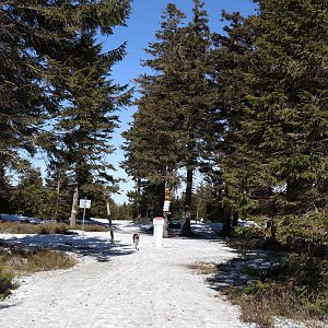 Manjula na vrcholu Smrk (27.3.2022 13:54)