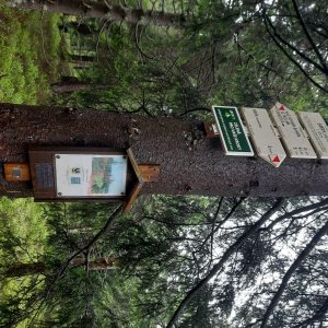 Tomáš Kupsa na vrcholu Smrk (7.8.2023 11:52)