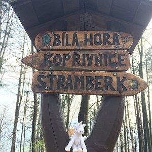 Ivana Mariánková na vrcholu Bíla Hora _ rozhledna nad Štramberkem a Kopřivnici (14.4.2019 13:20)