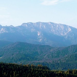 Tor on the summit of Stallauer Kopf (22.8.2020 7:30)
