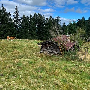 Jan Matiášek na vrcholu Angerlkopf (19.9.2022 15:13)