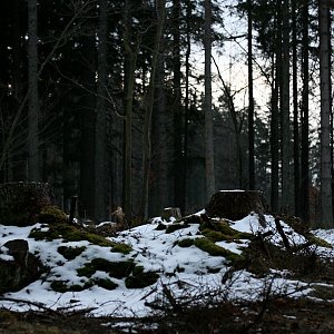 Bouřka na vrcholu Jelení kaliště (27.1.2020 7:54)