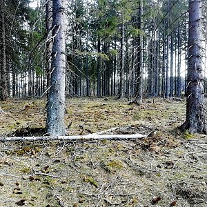 Vladimír Grančay na vrcholu Jelení kaliště (11.4.2020 10:55)