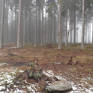 Vladimír Grančay na vrcholu Jelení kaliště (20.4.2013 13:48)