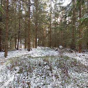 Nojby na vrcholu Bezinky JZ (17.1.2023 11:56)