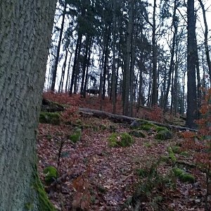 Eliška na vrcholu Žižkův vrch (24.11.2022 16:10)