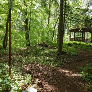 Nojby na vrcholu Žižkův vrch (6.5.2025 13:00)