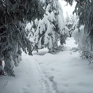 Milan Meravy na vrcholu Smrk (10.12.2021 11:18)