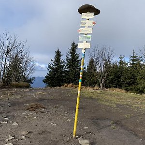 Vero na vrcholu Smrk (5.11.2021 13:00)