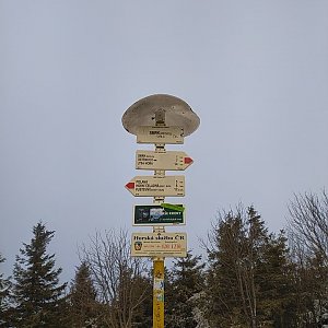 valach1984 na vrcholu Smrk (14.1.2022 10:54)