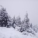 Milan Meravy na vrcholu Smrk (26.1.2022 11:01)
