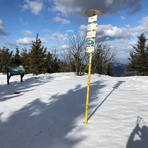 Boris na vrcholu Smrk (19.2.2022 9:43)