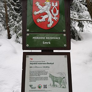 Martin Steffek na vrcholu Smrk (24.1.2021 14:30)