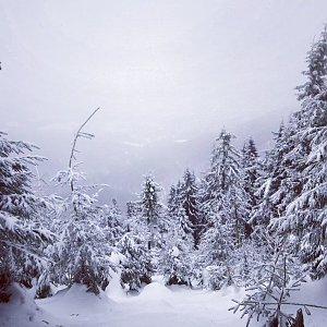 Paula Siudová na vrcholu Smrk (12.2.2019 13:54)