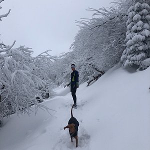 Ivča na vrcholu Smrk (27.1.2021 10:40)