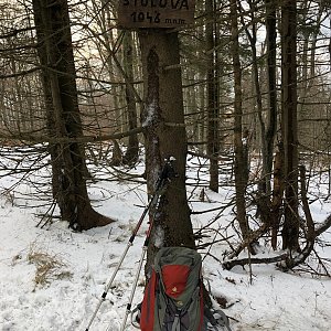 Janča na vrcholu Velká Stolová (3.1.2021 10:42)