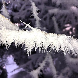 Petra Jandačková na vrcholu Velká Stolová (10.1.2021 15:16)