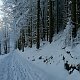 Zdeňka Máchová na vrcholu Velká Stolová (26.1.2021 13:59)