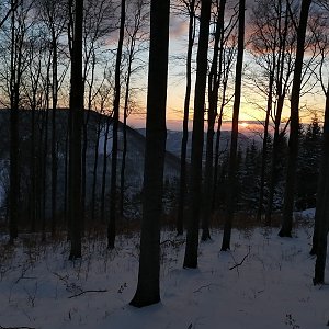 Krvelačné ňuf na vrcholu Velká Stolová (8.4.2021 19:15)