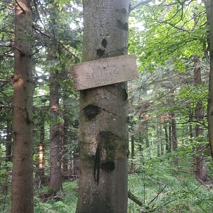 Nela na vrcholu Velká Stolová (7.6.2019 18:50)