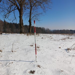 Petr Wendler on the summit of Ptačí vrch (22.2.2025 11:47)