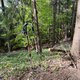 Radka D na vrcholu Pardus JZ