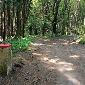 AlenaŠ na vrcholu Kašpariskův vrch (2.6.2026 11:15)