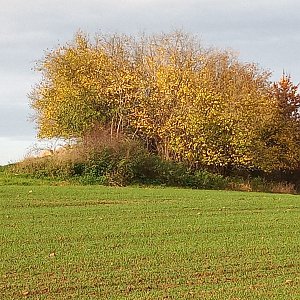 VěrkaN na vrcholu U Brodských (29.10.2022 9:55)