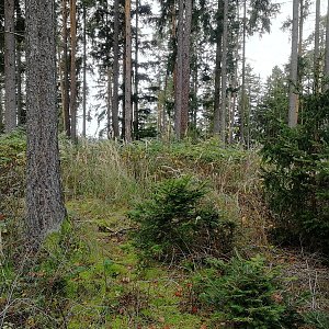 Vladimír Grančay na vrcholu Sosnovec S vrchol I (29.10.2022 10:35)