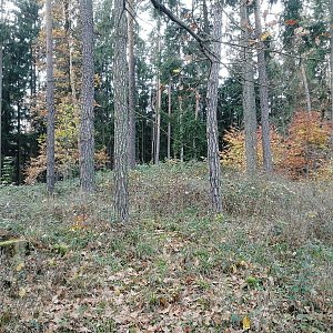 Vladimír Grančay na vrcholu Háj SV vrchol (29.10.2022 11:30)