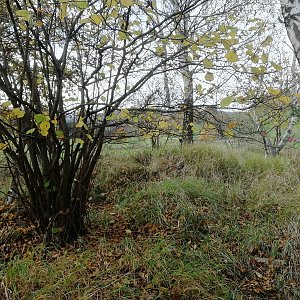 Vladimír Grančay na vrcholu Staradov (29.10.2022 11:57)