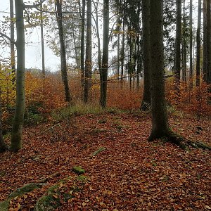 Vladimír Grančay na vrcholu Matějkův vrch S vrchol (29.10.2022 13:06)