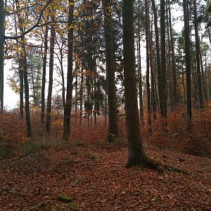 VěrkaN na vrcholu Matějkův vrch S vrchol (29.10.2022 13:06)