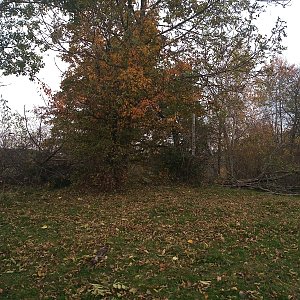 Šumavské podhůří