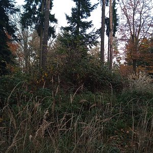 VěrkaN na vrcholu Výhledy (29.10.2022 17:28)