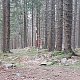 Cyklista 73 na vrcholu Světlá hora