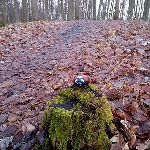 Jiřina na vrcholu Vršek (12.2.2023)