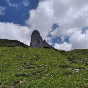 megalodon on the summit of Sturzhahn (7.7.2023 14:55)