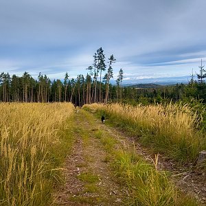 Jiří Králík on the summit of Dubový vrch (29.9.2019 10:40)
