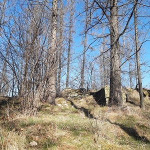 ZdenkaV on the summit of Karlova hora Z (3.4.2025 15:11)