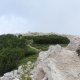 Divočák na vrcholu Cima Prà della Baziva (1.7.2026)