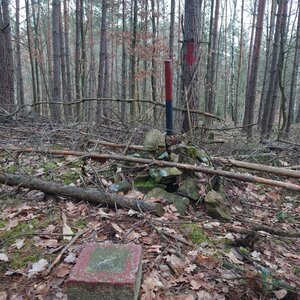 Nojby na vrcholu Borový (26.2.2024 10:07)