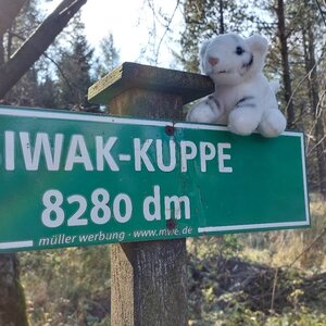 Mykas na vrcholu Biwak-Kuppe (19.9.2024 10:41)