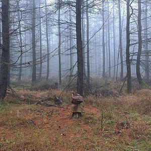 Horalka Anička na vrcholu Fuchshübel (18.11.2022)