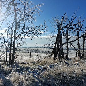 Cyklista 73 on the summit of Mohelnice (19.11.2022 13:01)