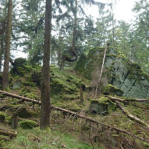Nojby on the summit of Kružný JZ (16.5.2023 12:38)