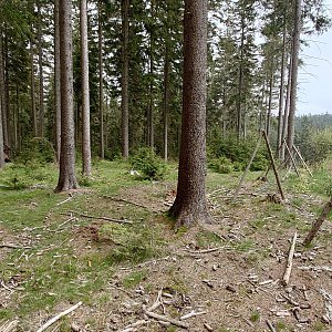 Nojby on the summit of Lesný J2 (16.5.2023 14:06)