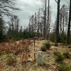 Marcela na vrcholu Polecký vrch (30.4.2023 11:47)