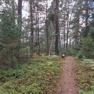 Cyklista 73 on the summit of Chrby (22.8.2025 16:03)