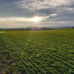 Mykas na vrcholu Větrník (8.1.2024 9:02)